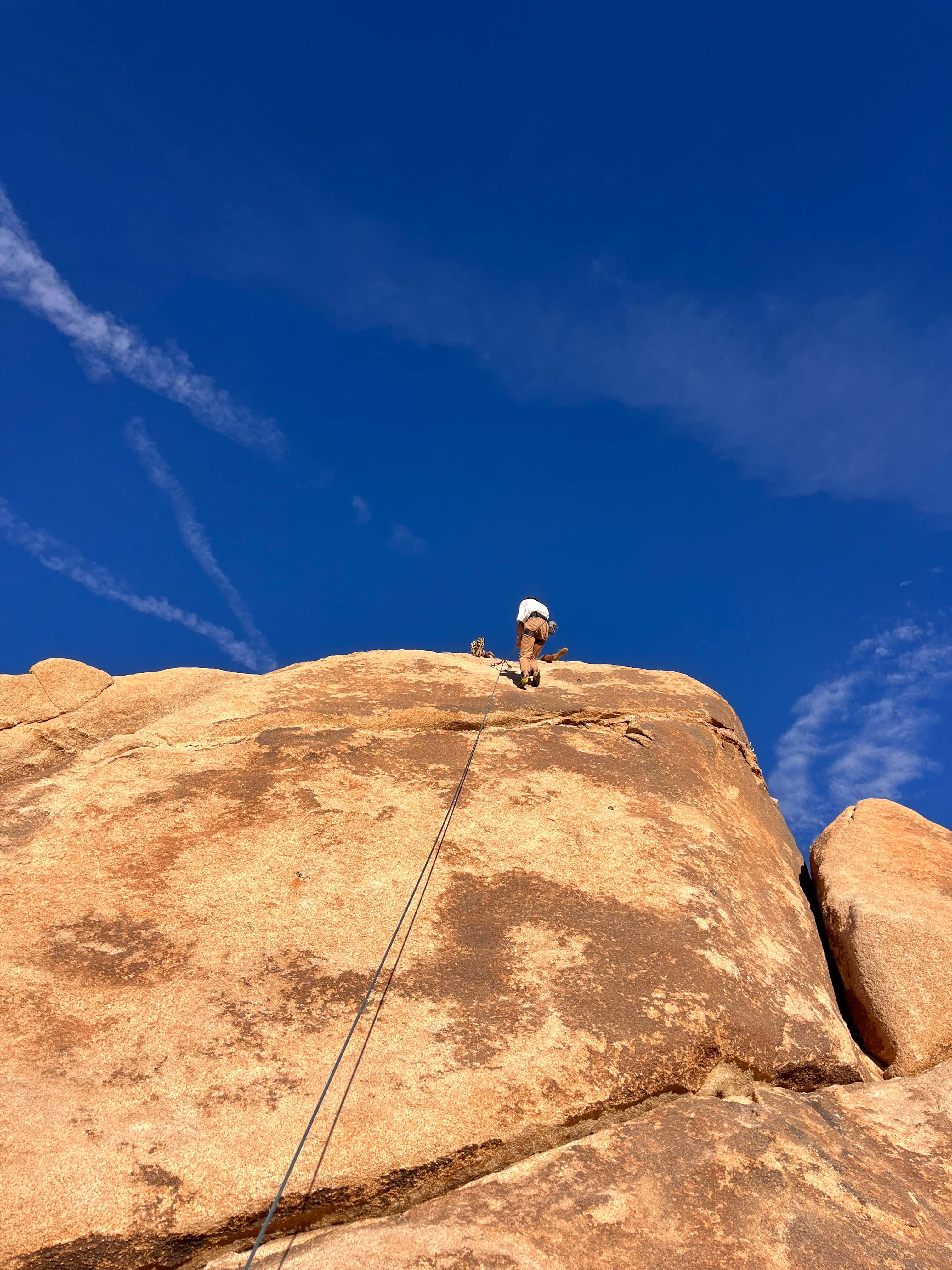 joshua tree, california