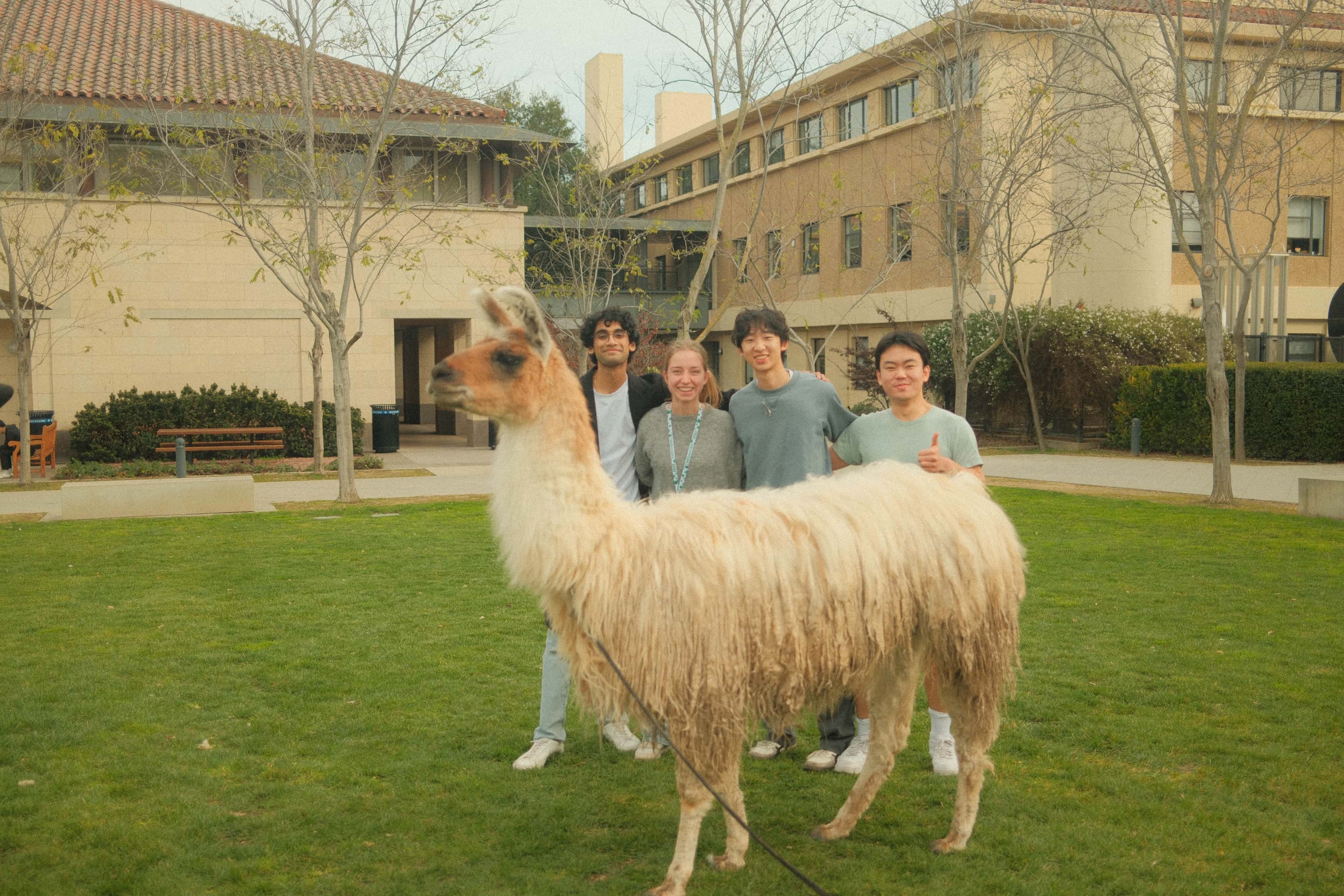stanford, california